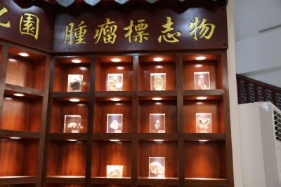 中医胡其松：经络瘀滞与卵巢癌的病理演变